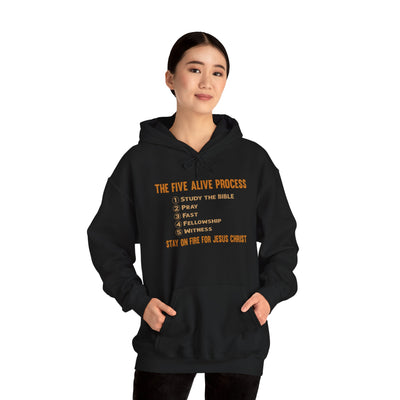 The Five Alive Process Text Based Unisex Heavy Blend™ Hooded Sweatshirt Unisex