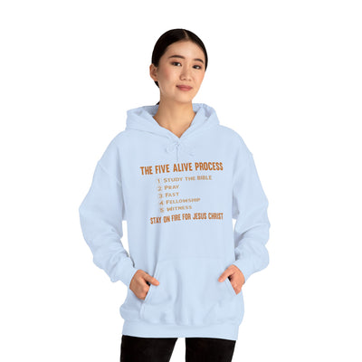 The Five Alive Process Text Based Unisex Heavy Blend™ Hooded Sweatshirt Unisex