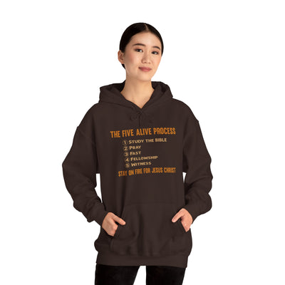 The Five Alive Process Text Based Unisex Heavy Blend™ Hooded Sweatshirt Unisex