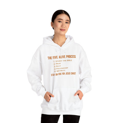 The Five Alive Process Text Based Unisex Heavy Blend™ Hooded Sweatshirt Unisex