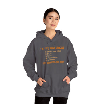 The Five Alive Process Text Based Unisex Heavy Blend™ Hooded Sweatshirt Unisex