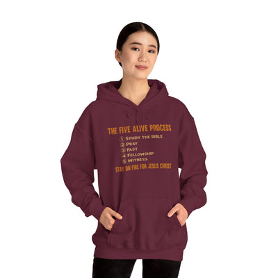 The Five Alive Process Text Based Unisex Heavy Blend™ Hooded Sweatshirt Unisex